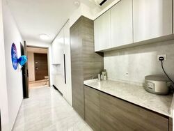 The Florence Residences (D19), Apartment #556786691